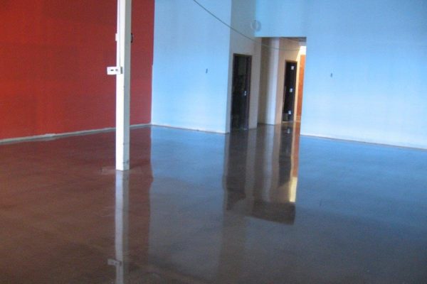 Petco Polished Concrete